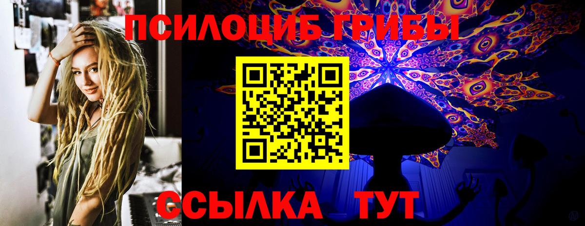 Псилоцибиновые грибы MAGIC MUSHROOMS  Вход с VPN  Алексин 