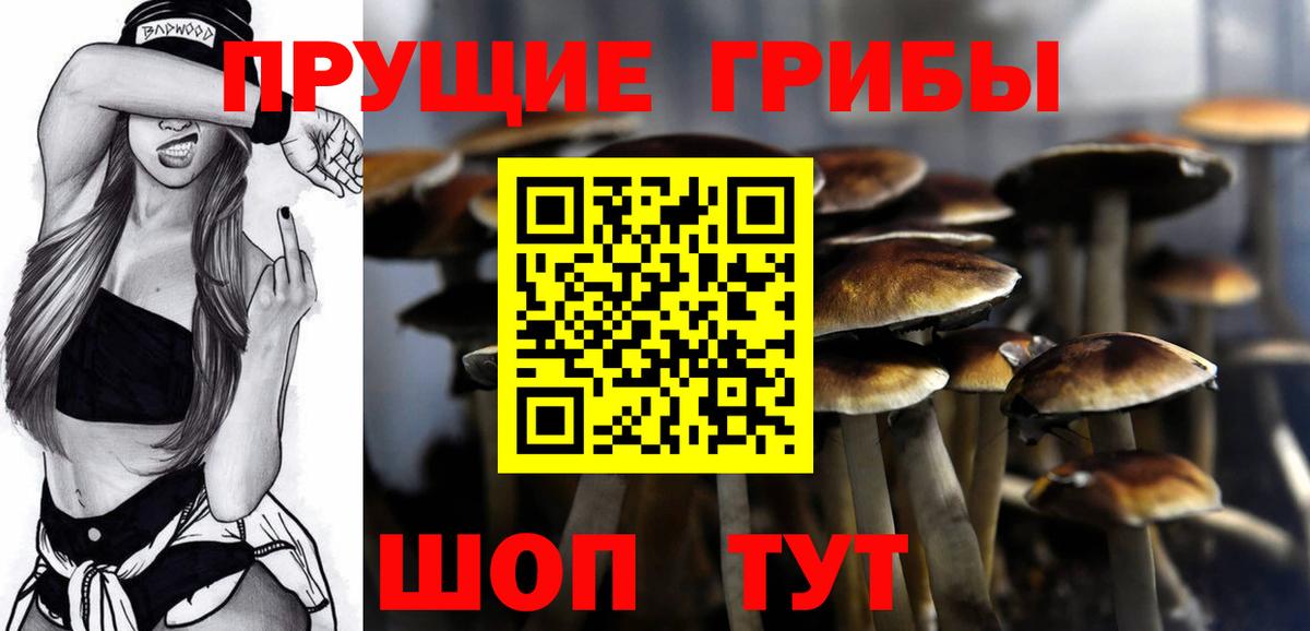 Псилоцибиновые грибы мицелий Алексин